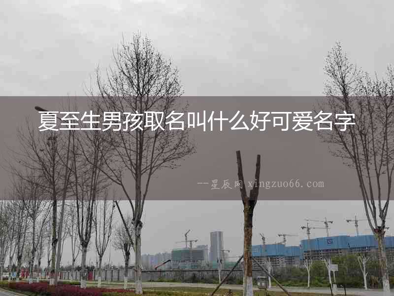 夏至生男孩取名叫什么好可愛名字