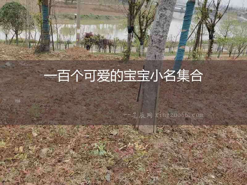 一百個可愛的寶寶小名集合
