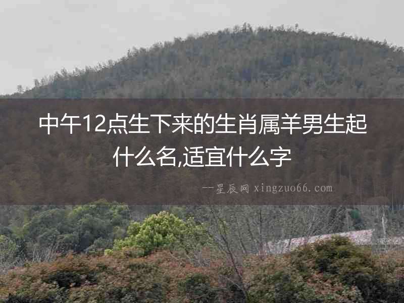 中午12點生下來的生肖屬羊男生起什么名,適宜什么字
