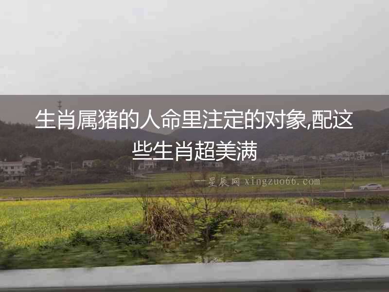 生肖屬豬的人命里注定的對象,配這些生肖超美滿