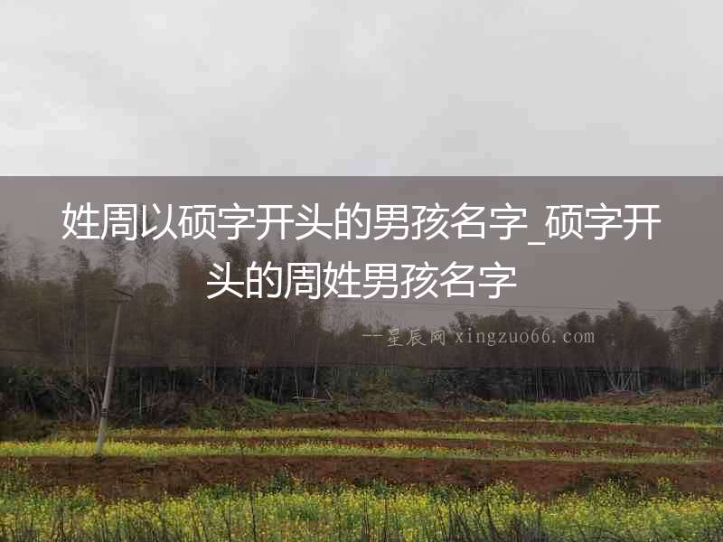 姓周以碩字開頭的男孩名字_碩字開頭的周姓男孩名字
