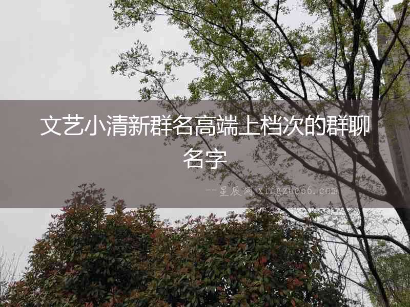文藝小清新群名高端上檔次的群聊名字