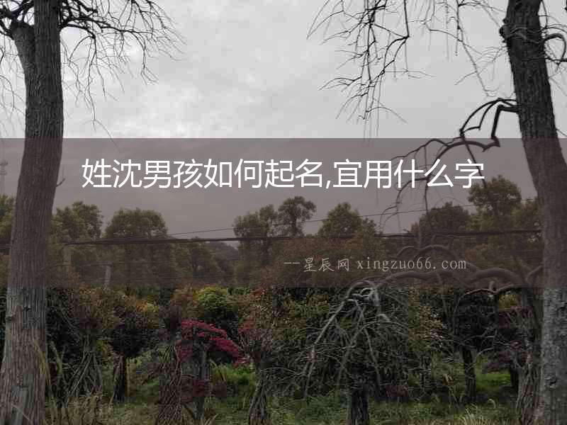 姓沈男孩如何起名,宜用什么字