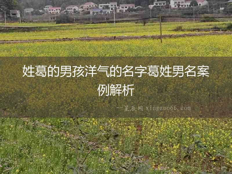 姓葛的男孩洋氣的名字葛姓男名案例解析