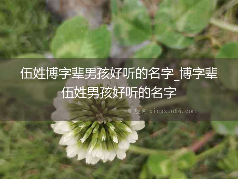 伍姓博字輩男孩好聽的名字_博字輩伍姓男孩好聽的名字