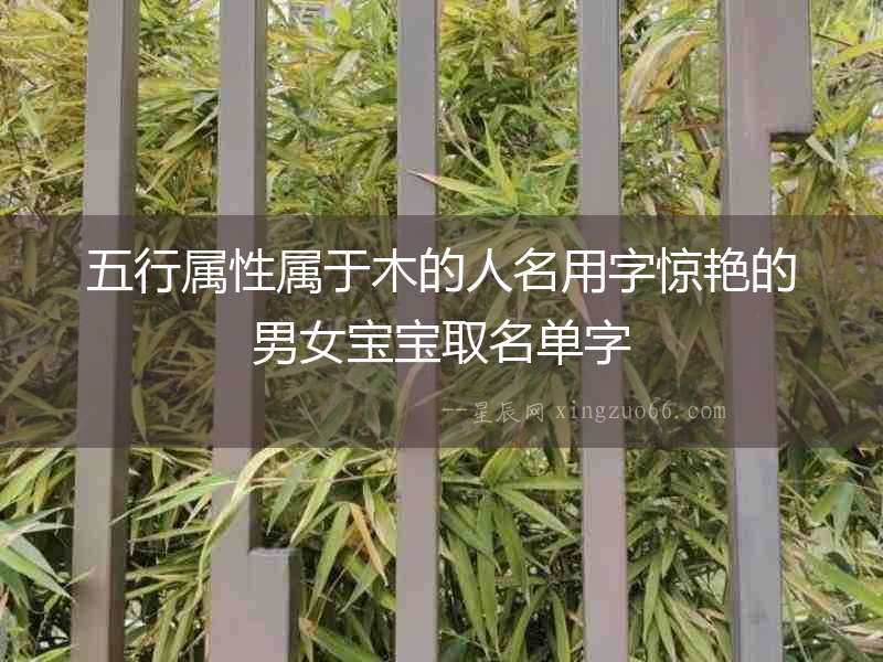 五行屬性屬于木的人名用字驚艷的男女寶寶取名單字