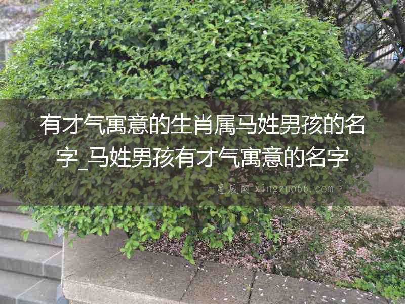 有才氣寓意的生肖屬馬姓男孩的名字_馬姓男孩有才氣寓意的名字