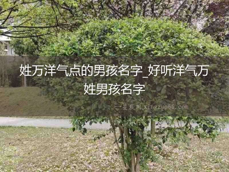 姓萬洋氣點(diǎn)的男孩名字_好聽洋氣萬姓男孩名字