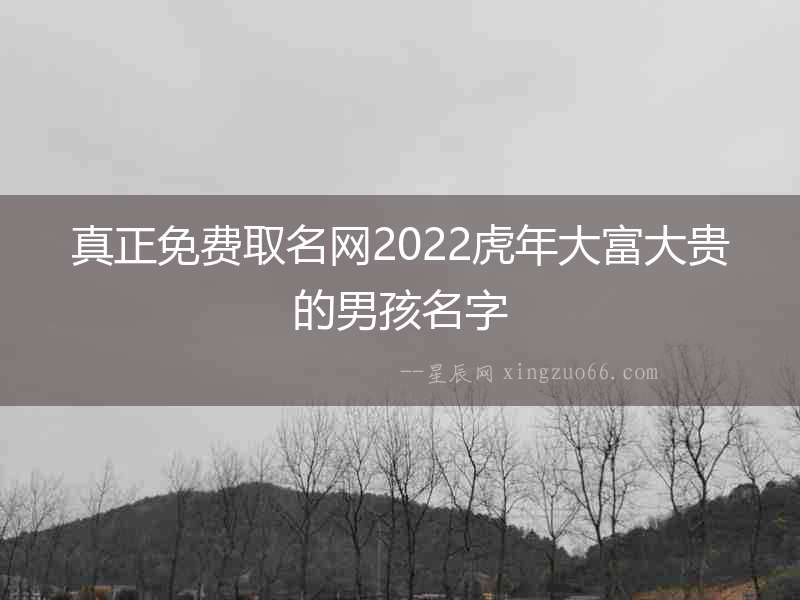 真正免費取名網(wǎng)2022虎年大富大貴的男孩名字