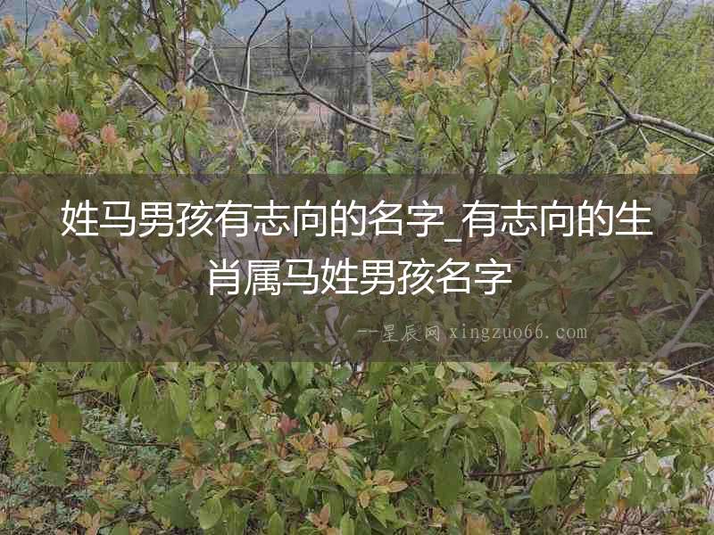 姓馬男孩有志向的名字_有志向的生肖屬馬姓男孩名字