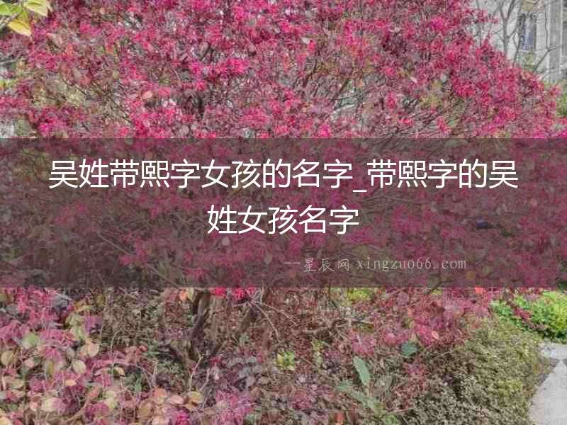 吳姓帶熙字女孩的名字_帶熙字的吳姓女孩名字