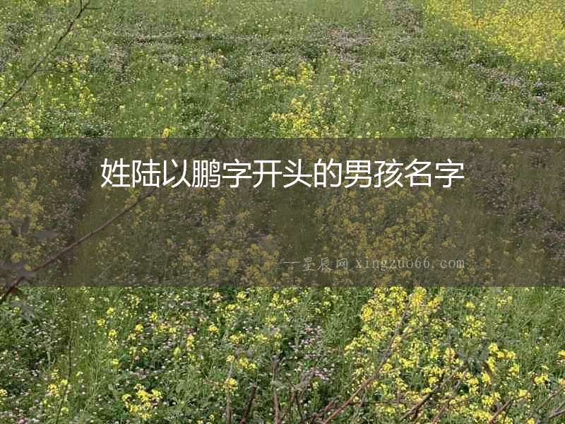 姓陸以鵬字開頭的男孩名字