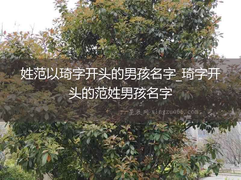 姓范以琦字開頭的男孩名字_琦字開頭的范姓男孩名字