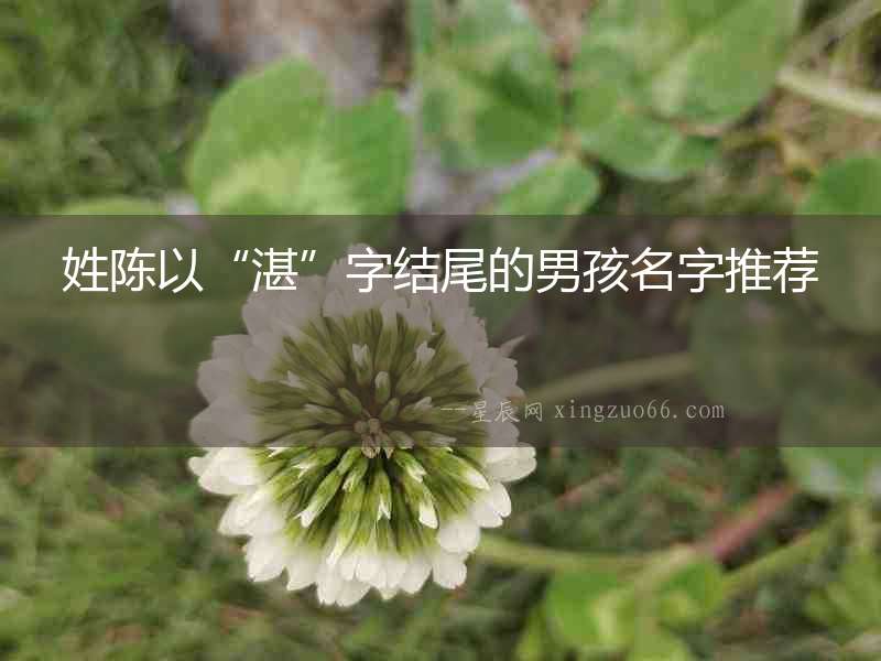 姓陳以“湛”字結尾的男孩名字推薦