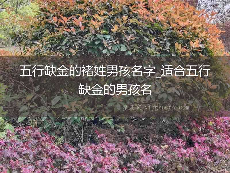 五行缺金的褚姓男孩名字_適合五行缺金的男孩名