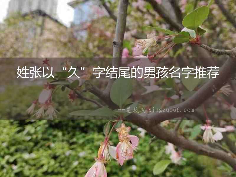 姓張以“久”字結(jié)尾的男孩名字推薦