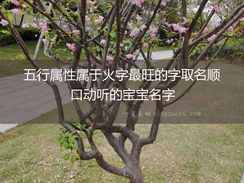 五行屬性屬于火字最旺的字取名順口動聽的寶寶名字