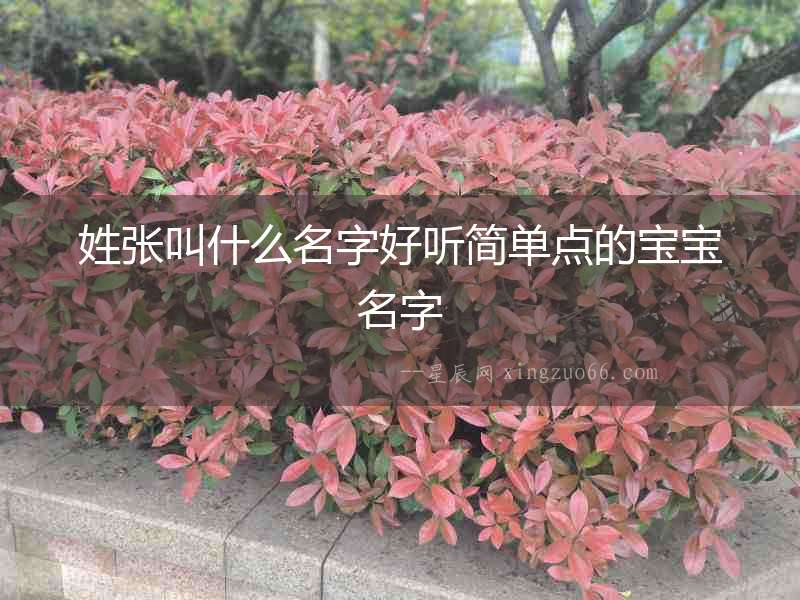 姓張叫什么名字好聽簡單點的寶寶名字