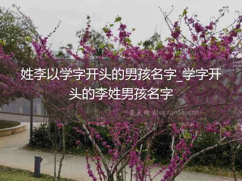 姓李以學字開頭的男孩名字_學字開頭的李姓男孩名字