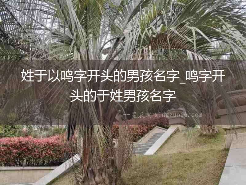 姓于以鳴字開頭的男孩名字_鳴字開頭的于姓男孩名字