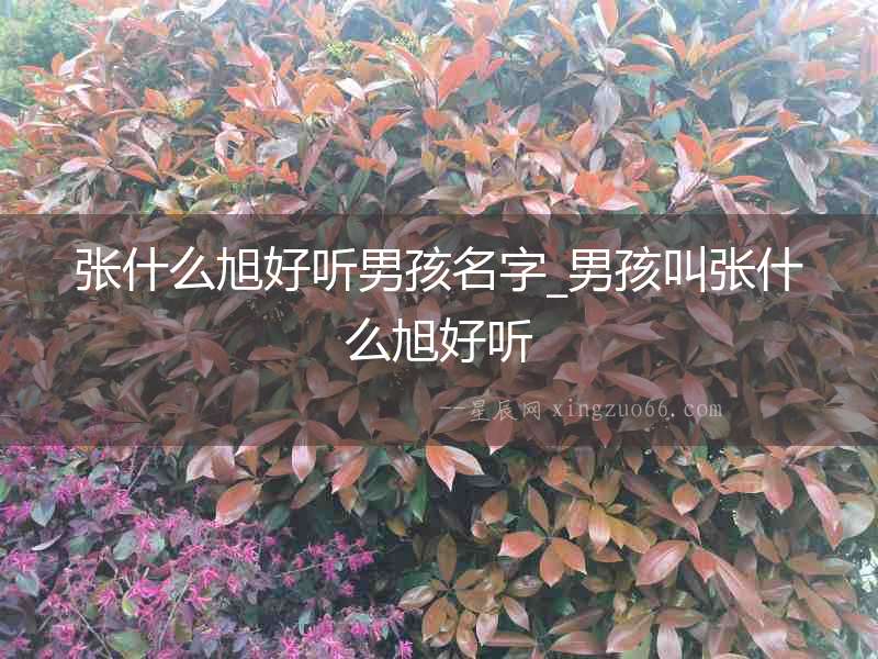 張什么旭好聽男孩名字_男孩叫張什么旭好聽