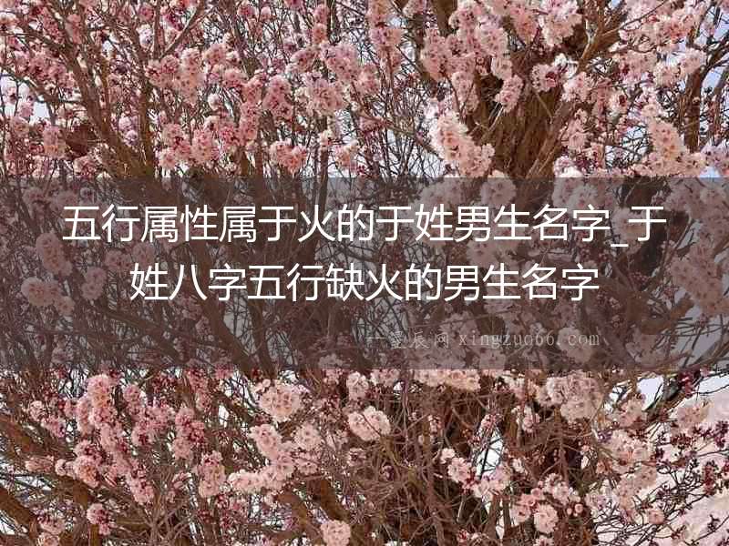 五行屬性屬于火的于姓男生名字_于姓八字五行缺火的男生名字