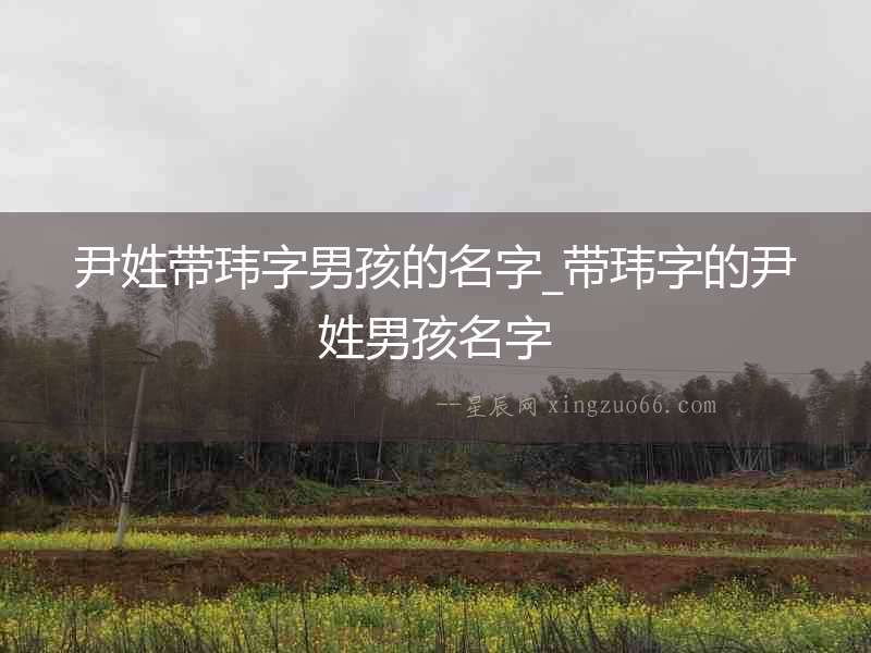 尹姓帶瑋字男孩的名字_帶瑋字的尹姓男孩名字