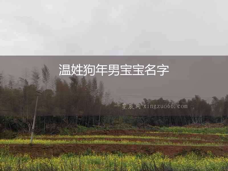 溫姓狗年男寶寶名字
