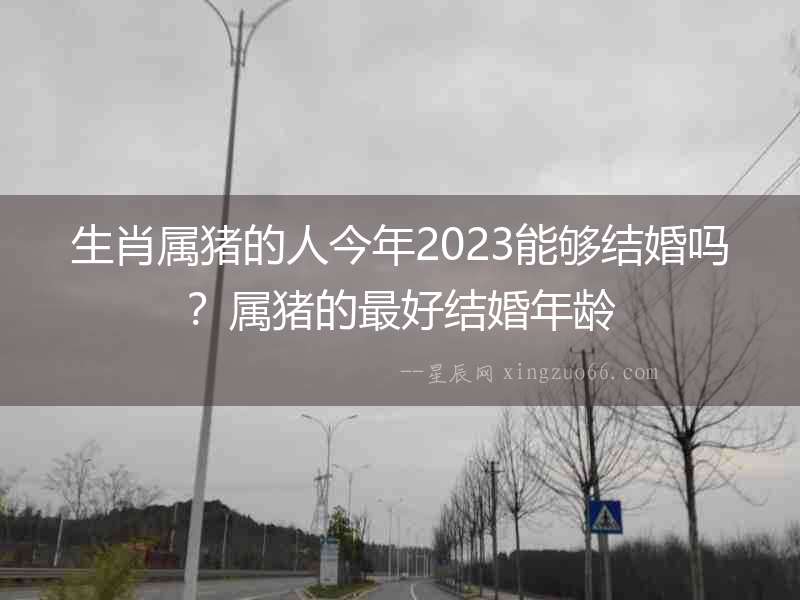 生肖屬豬的人今年2023能夠結婚嗎？屬豬的最好結婚年齡