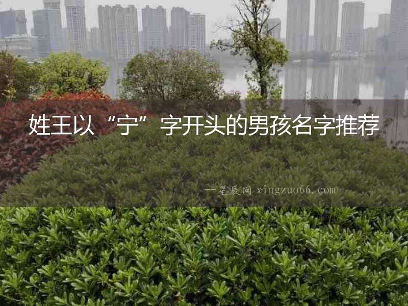 姓王以“寧”字開頭的男孩名字推薦