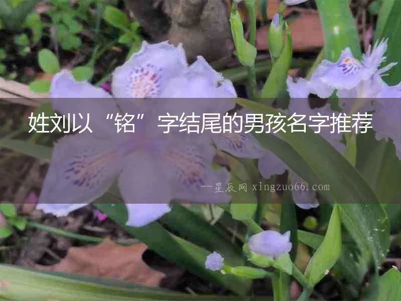 姓劉以“銘”字結尾的男孩名字推薦