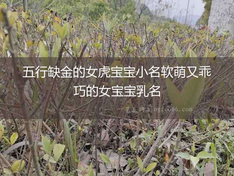 五行缺金的女虎寶寶小名軟萌又乖巧的女寶寶乳名