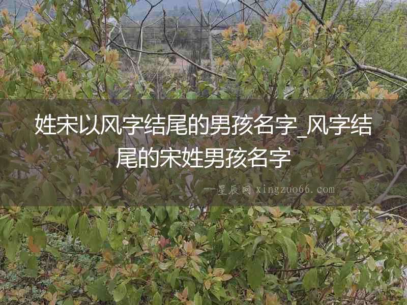 姓宋以風字結尾的男孩名字_風字結尾的宋姓男孩名字