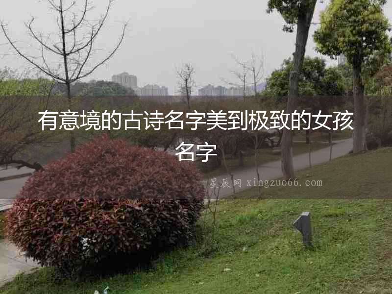 有意境的古詩名字美到極致的女孩名字