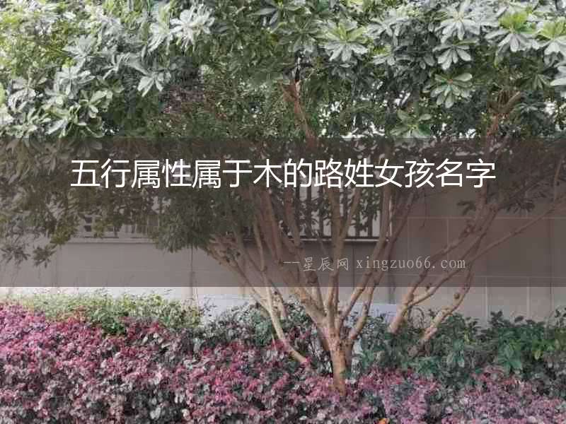 五行屬性屬于木的路姓女孩名字