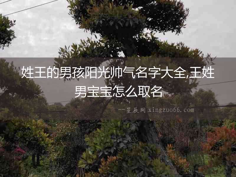 姓王的男孩陽光帥氣名字大全,王姓男寶寶怎么取名