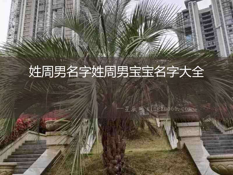 姓周男名字姓周男寶寶名字大全