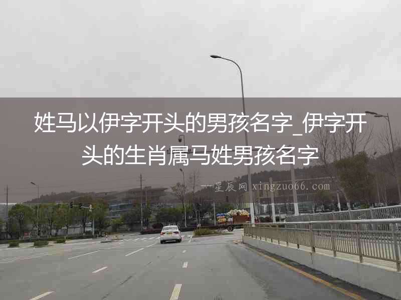 姓馬以伊字開頭的男孩名字_伊字開頭的生肖屬馬姓男孩名字