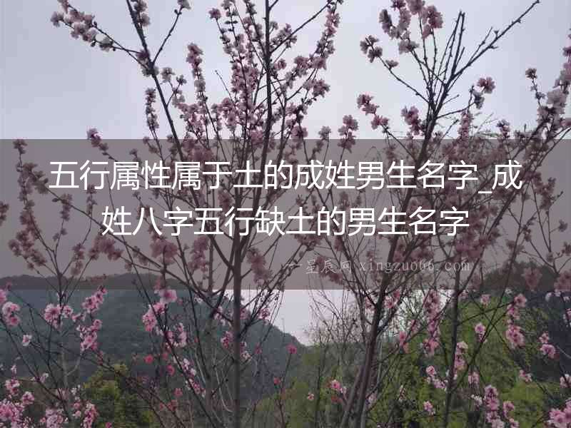 五行屬性屬于土的成姓男生名字_成姓八字五行缺土的男生名字