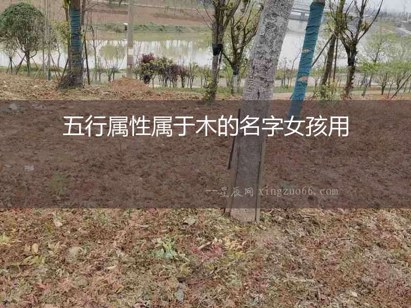 五行屬性屬于木的名字女孩用