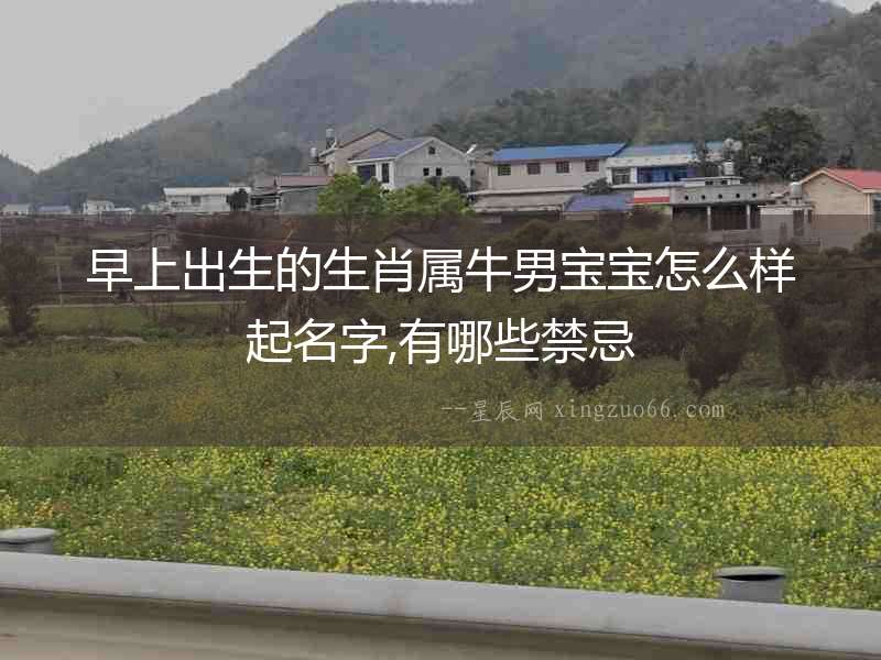 早上出生的生肖屬牛男寶寶怎么樣起名字,有哪些禁忌