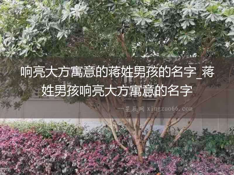 響亮大方寓意的蔣姓男孩的名字_蔣姓男孩響亮大方寓意的名字