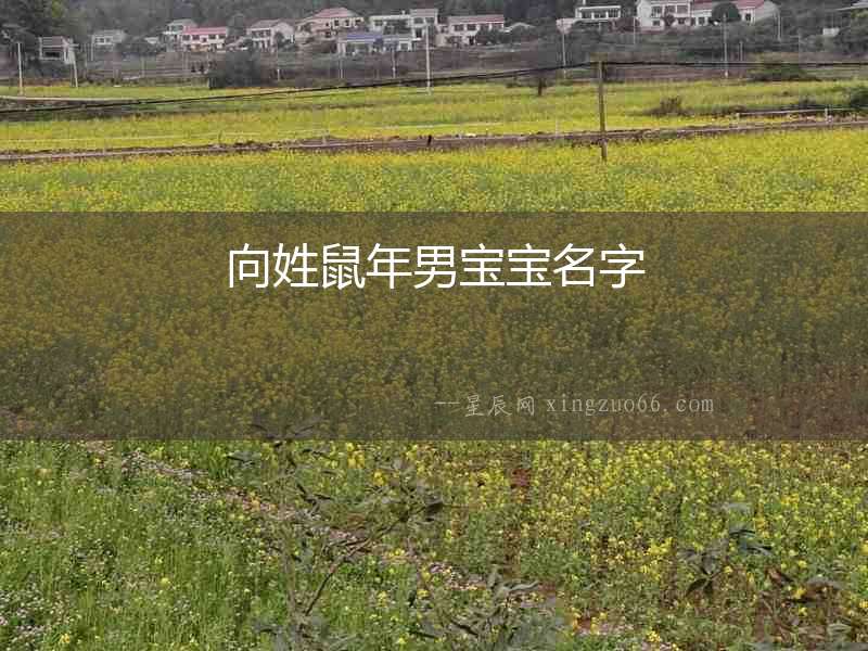 向姓鼠年男寶寶名字