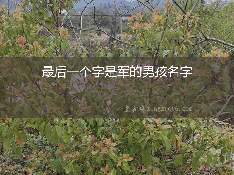 最后一個字是軍的男孩名字