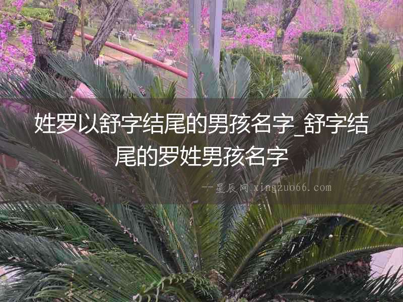 姓羅以舒字結尾的男孩名字_舒字結尾的羅姓男孩名字
