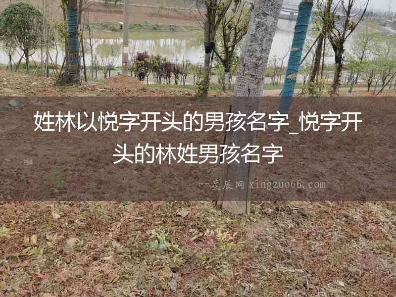 姓林以悅字開頭的男孩名字_悅字開頭的林姓男孩名字