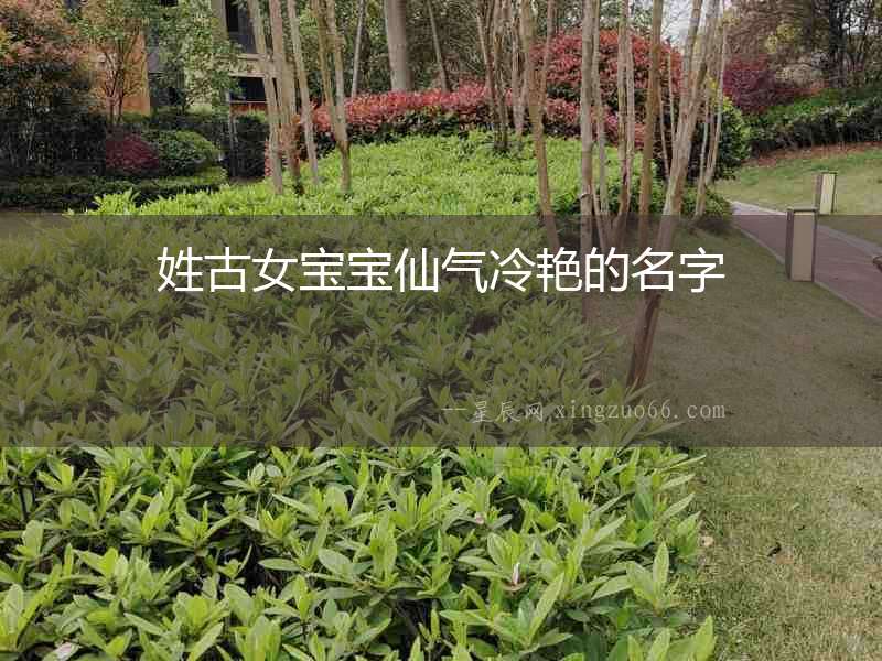 姓古女寶寶仙氣冷艷的名字