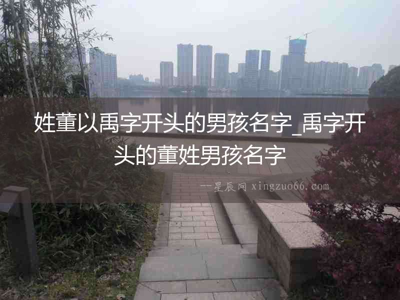 姓董以禹字開頭的男孩名字_禹字開頭的董姓男孩名字