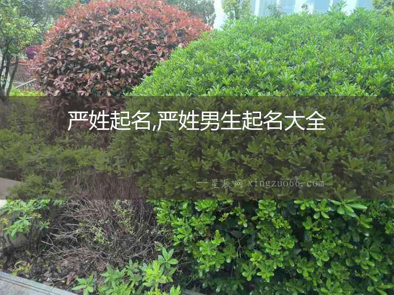 嚴姓起名,嚴姓男生起名大全
