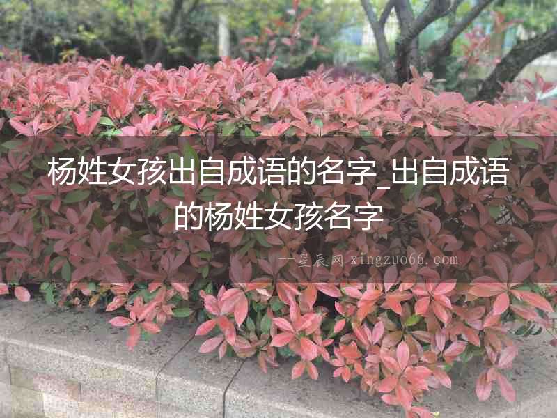 楊姓女孩出自成語的名字_出自成語的楊姓女孩名字